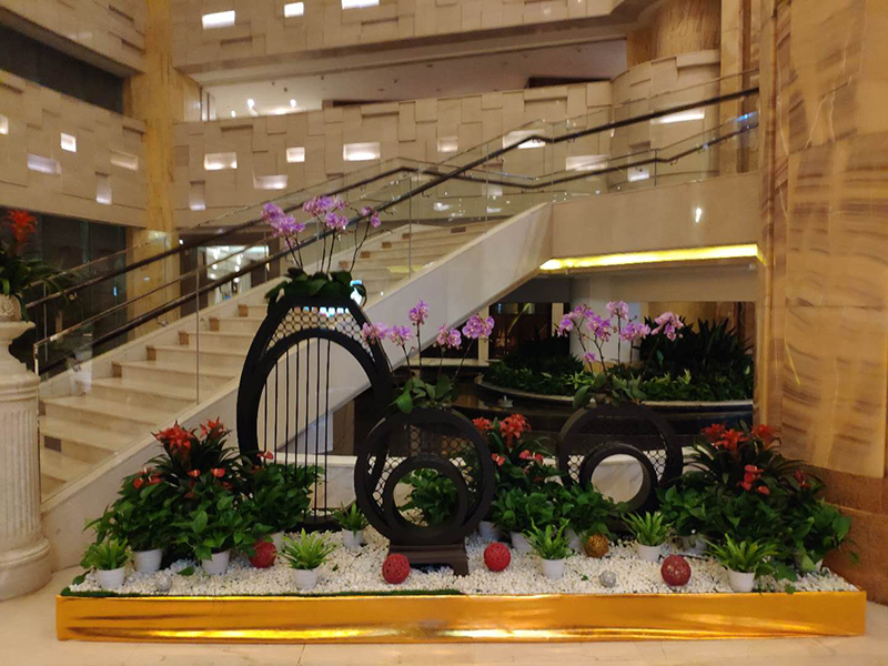 酒店大堂怎么擺放綠植盆栽？綠植租賃時怎么組景？