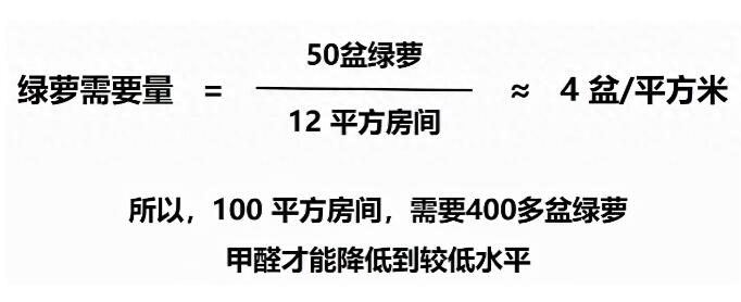 公司用綠蘿除甲醛，到底靠不靠譜？
